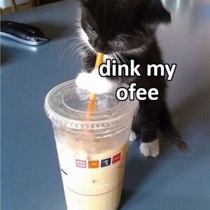 Meet your Posher, Jade